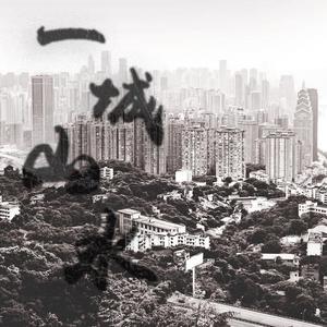 2021 相逢何必曾相识 车载DJ