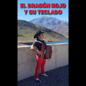 Arbolito Arbolito