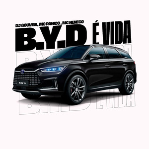 B.Y.D É Vida