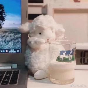 不期而遇的温暖（翻自 手嶌葵）