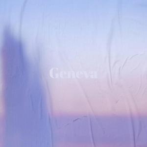 Macadamias Escarpment