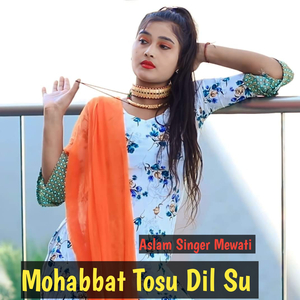 Mohabbat Tosu Dil Su