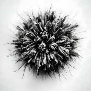 Frayed