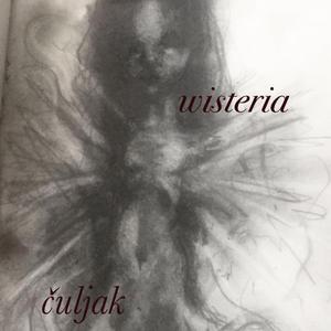 clingfilmsin (feat. wisteria)