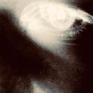 i dont take your pictures anymore cause you dont like how you look