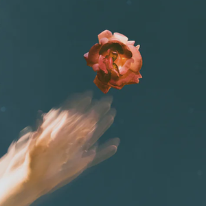 我想，那是我爱的人