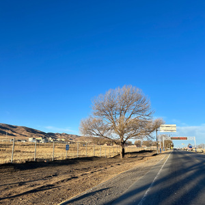 路上的歌1.0（pyod by 9Zi）