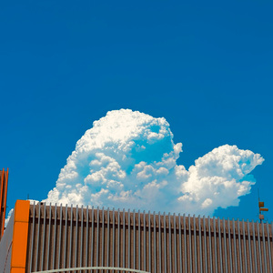 未白镇（Cover 増田順一）