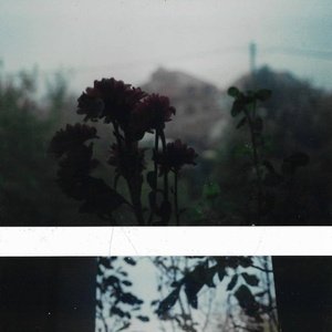 lonely boy with a toy ukulele