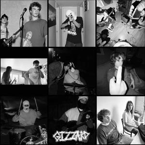 Pancreatic Disruption Caused By An Amebic Parasite