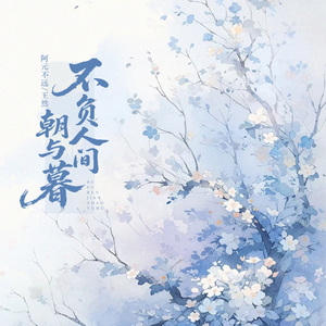不负人间朝与暮（DJ降速版）
