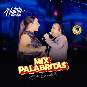 Mix Palabritas (En Concierto)