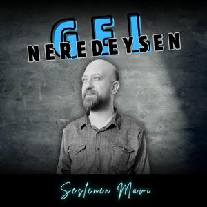 Gel Neredeysen