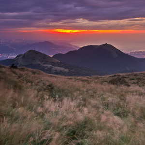 আল্লাহ তুমি আমার গুনাগার উম্মতকে বাঁচাও