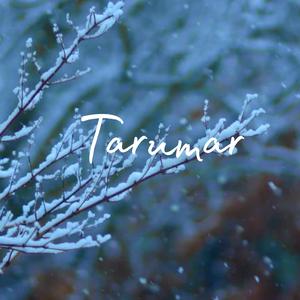 Tarumar