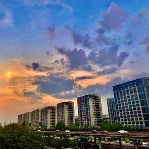 why（翻自 罗之豪）