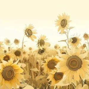 向阳自有花开 (启航2026中央广播电视总台跨年晚会现场)