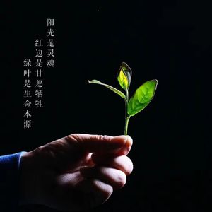 寒山僧踪（洞箫）