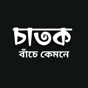 চাতক বাঁচে কেমনে
