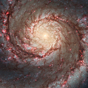 Phenominancial-Universe