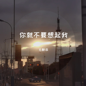 你就不要想起我