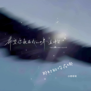 那时的你在哪-小岗哥哥