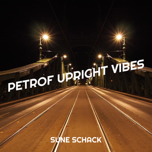 Petrof Upright Vibes