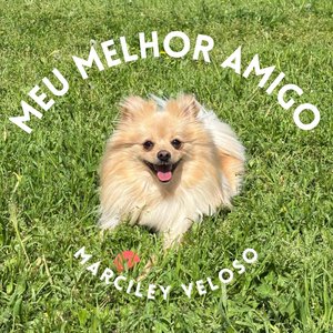 Meu Melhor Amigo