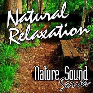 Soothing Sounds of Nature
