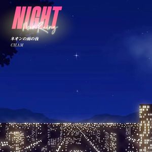 ネオンの雨の夜