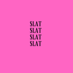 Slat
