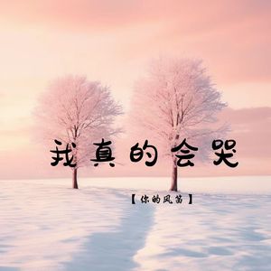 我真的会哭 (1.1X释怀版)