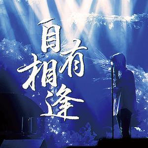 自有相逢——2022贾凡生贺应援曲