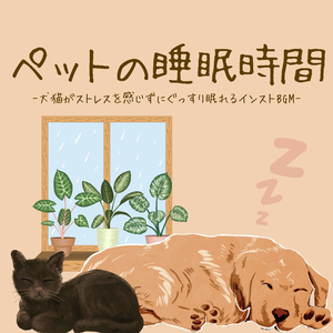 爽やかな朝