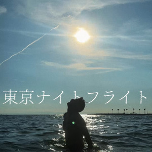 東京ナイトフライト