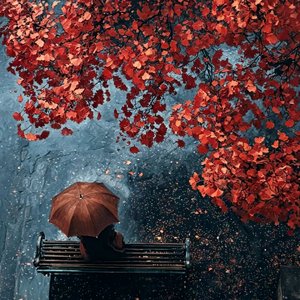 听说你忘了我.wav