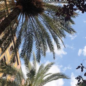 창에 기대는 밤