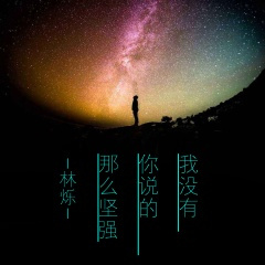 我没有你说的那么坚强 (DJ版)