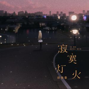 寂寞灯火 (伴奏)