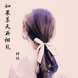 如果某天再相见