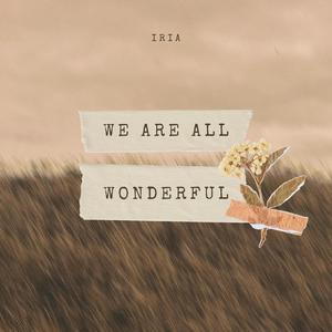 We are all wonderful