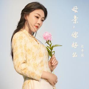 母亲，你好么 伴奏