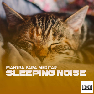 Coffee for Your Head