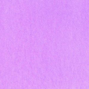 黑莲Black Lotus (Prod.9Zi)