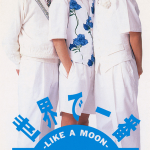 公衆電話が泣いた夜