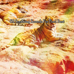 一個很好的劑量