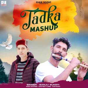 Tadka Mashup