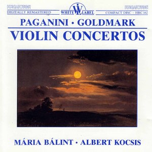 Violin Concerto No. 1 in D Major, Op. 6, MS 21:I. Allegro maestoso