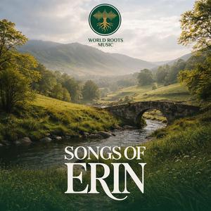 Mist Over Connemara (Irish Ambient Music)