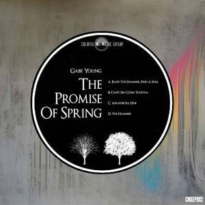 Raise the Hammer, Find a Nail